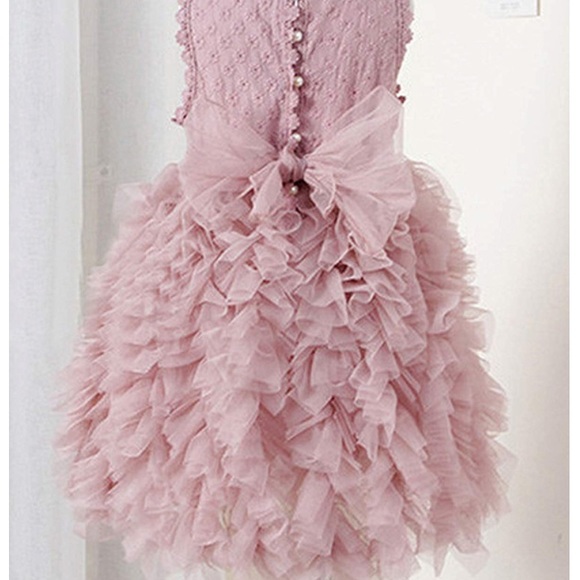 โจ๐HP๐โจGorgeous, fluffy pink tulle dress - Picture 2 of 8